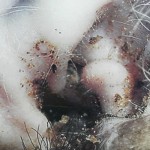 SAM_0149