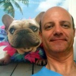 Una vida de perros.