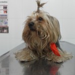 SAM_0236