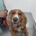 SAM_0330