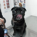 SAM_0257
