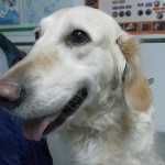 SAM_0267