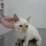 SAM_0336