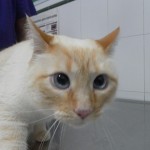 SAM_0370