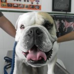 SAM_0413