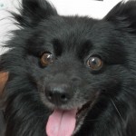 SAM_0442