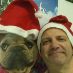 Feliz Navidad desde la Clínica Veterinaria OLIVARES (Granada)