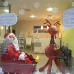 La salud de nuestros perros y gatos también es importante en Navidad