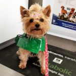 Pasear al perro durante la pandemia de coronavirus.