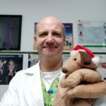 Los animales y la Navidad.